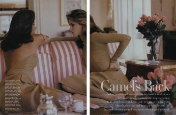 A cover of "Layout" cluster. The owner is makestories. The cluster consists of 38 elements.