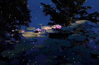 A cover of "Earth🌿🐚" cluster. The owner is r3nee. The cluster consists of 6 elements.