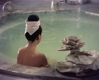 A cover of "orlotus" cluster. The owner is camilarruda. The cluster consists of 4 elements.