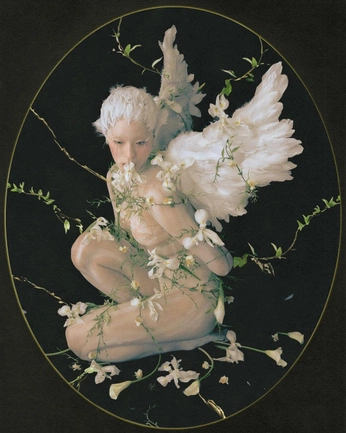 A cover of "draw" cluster. The owner is lidbin. The cluster consists of 8 elements.