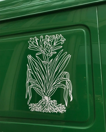 A cover of "Stencils" cluster. The owner is nina.bruggemans. The cluster consists of 1 element.