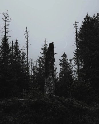 A cover of "lurisas" cluster. The owner is klarafoldys. The cluster description is "mood board – mystic brand package". The cluster consists of 23 elements.