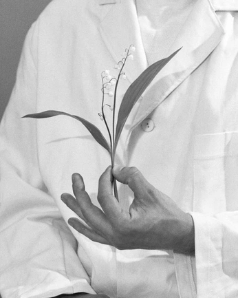 A cover of "Field Formulary" cluster. The owner is papayafordragons. The cluster consists of 13 elements.