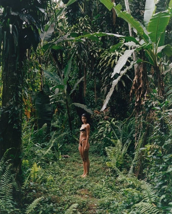 A cover of "Bali" cluster. The owner is patricia.pinelo. The cluster consists of 1 element.