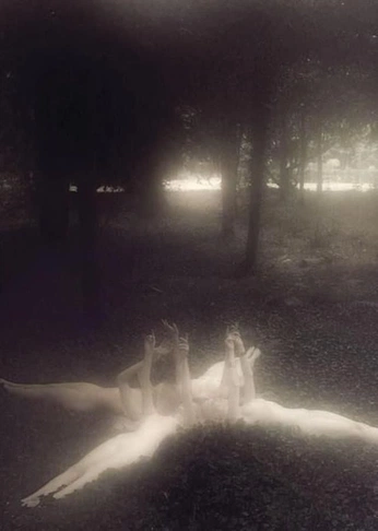 A cover of "Stray Cats: Graveyard" cluster. The owner is brittish.s2dio. The cluster consists of 39 elements.