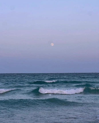 A cover of "landscape" cluster. The owner is eivrde. The cluster consists of 13 elements.