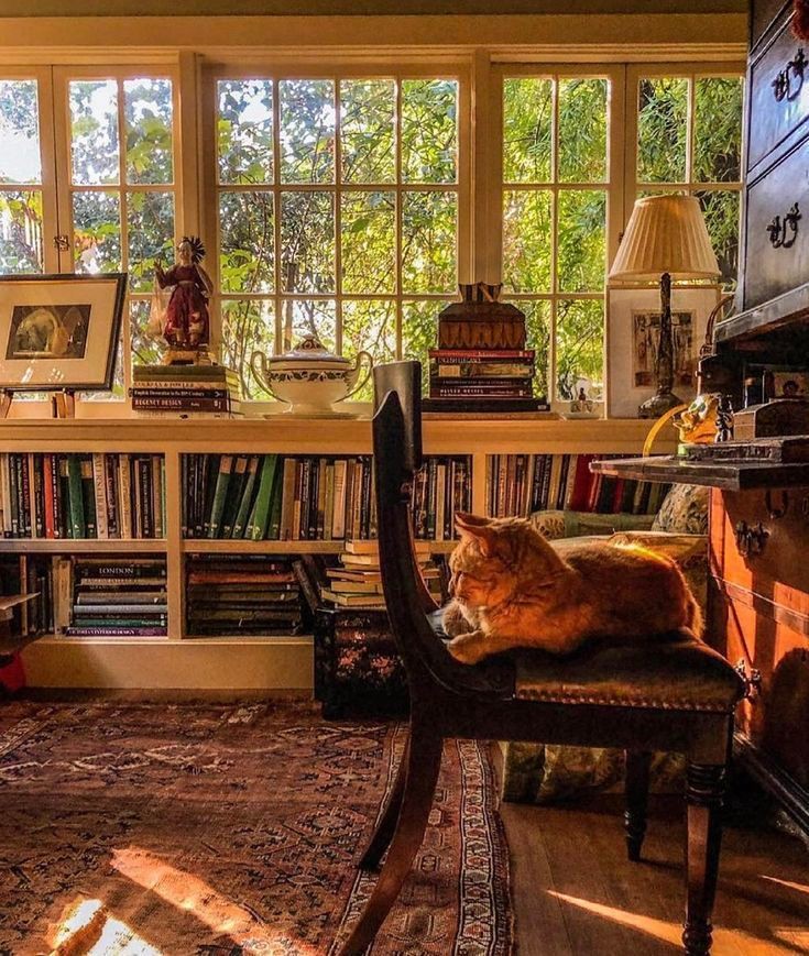 interiors