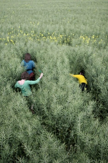 A cover of "Nostalgia" cluster. The owner is shannonriley. The cluster consists of 29 elements.