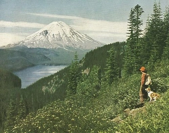 A cover of "pour your dreams out!" cluster. The owner is pebblepebble. The cluster consists of 17 elements.