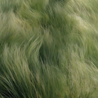 A cover of "Texture" cluster. The owner is ryanbelk. The cluster consists of 164 elements.