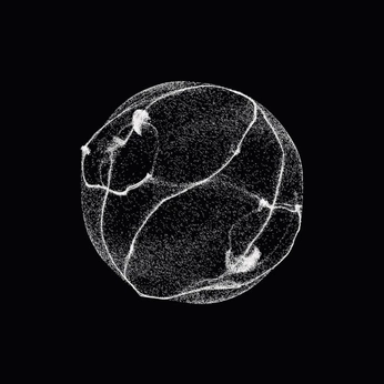 A cover of "field" cluster. The owner is emilybab. The cluster consists of 1 element.