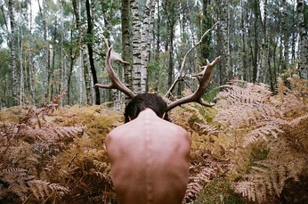 A cover of "g: rubi." cluster. The owner is cassiline. The cluster consists of 191 elements.