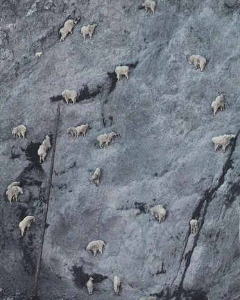 A cover of "astro" cluster. The owner is theportal. The cluster consists of 7 elements.