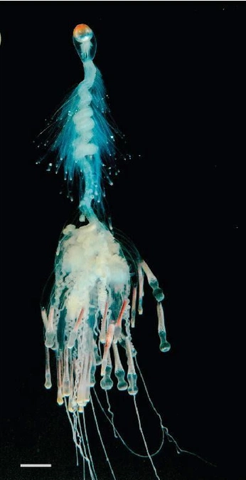 A cover of "natura" cluster. The owner is rareorchid. The cluster consists of 15 elements.