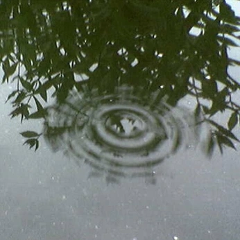 A cover of "communication" cluster. The owner is nemo.tiff. The cluster consists of 6 elements.