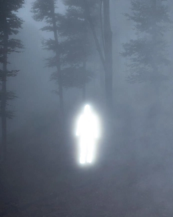 A cover of "Noir" cluster. The owner is markon. The cluster consists of 12 elements.