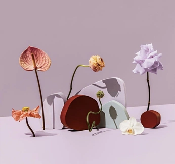 A cover of "floral" cluster. The owner is paloma01. The cluster consists of 22 elements.