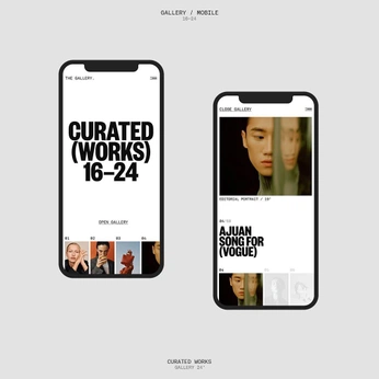 A cover of "Website" cluster. The owner is hakim. The cluster consists of 1 element.