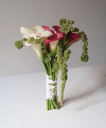 A cover of "fiori" cluster. The owner is mariannaohyes. The cluster consists of 6 elements.