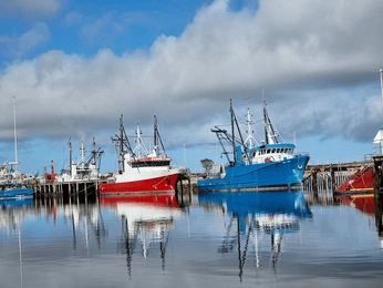 A cover of "Ships" cluster. The owner is destinationone. The cluster consists of 9 elements.