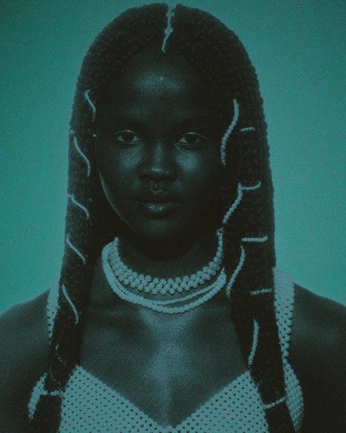 A cover of "African Shoot" cluster. The owner is thevznstudios. The cluster consists of 33 elements.