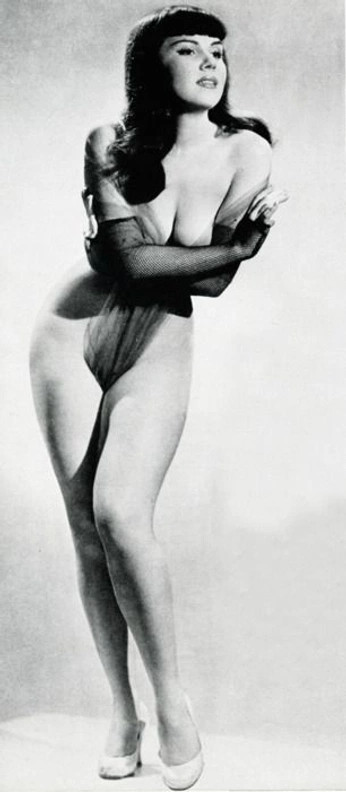 A cover of "Pinup" cluster. The owner is ssophkaa. The cluster consists of 17 elements.