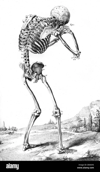 A cover of "Spine" cluster. The owner is thuylinh. The cluster consists of 12 elements.