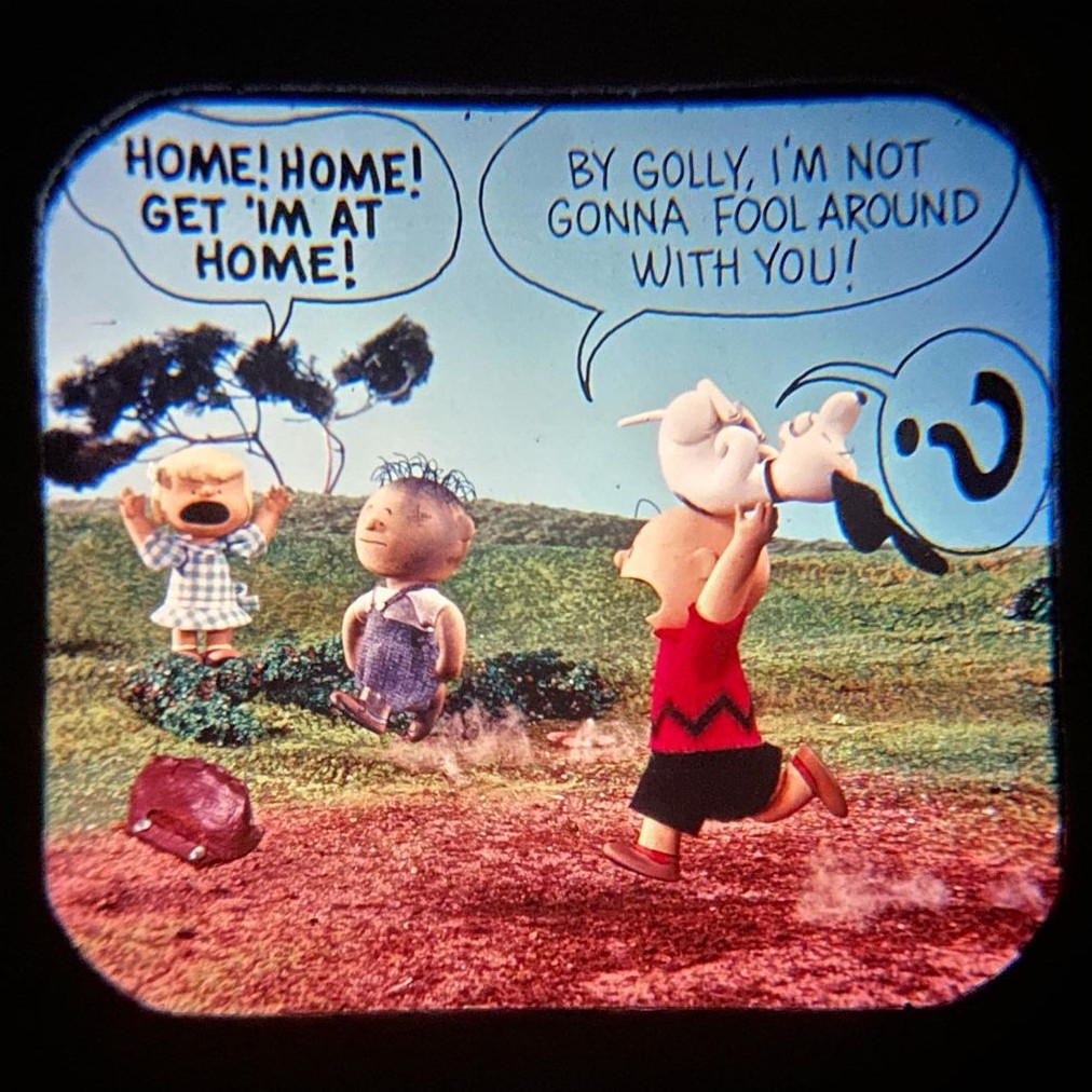 YOUR MORNING CARTOONS