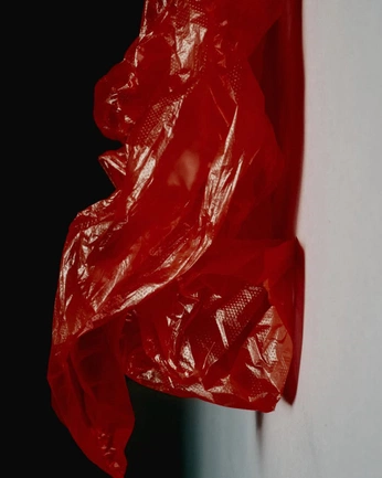 A cover of "BAG" cluster. The owner is jonjongamino. The cluster consists of 13 elements.