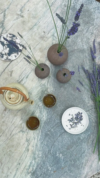 A cover of "calmtree" cluster. The owner is angelinaa. The cluster consists of 41 elements.