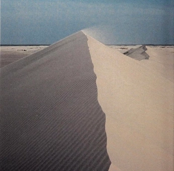 A cover of "Siempre" cluster. The owner is selene. The cluster consists of 21 elements.