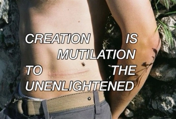 A cover of "transmasc" cluster. The owner is ratttyking. The cluster consists of 70 elements.