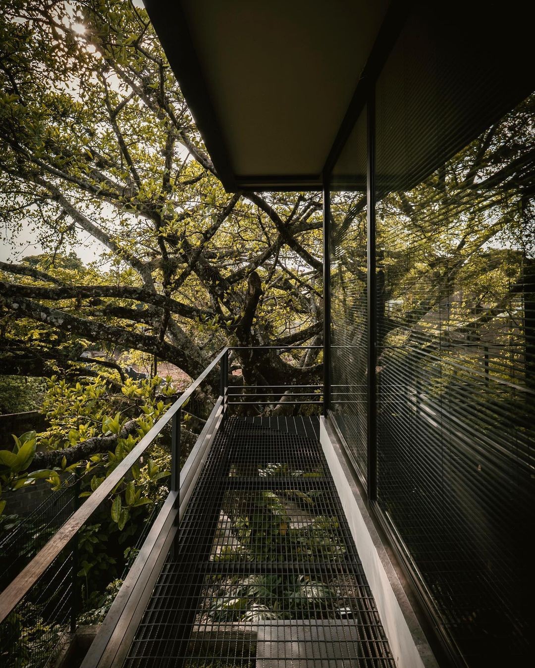 Casa Bello by gz&p | arquitectos. Photo by J Miguel González.
