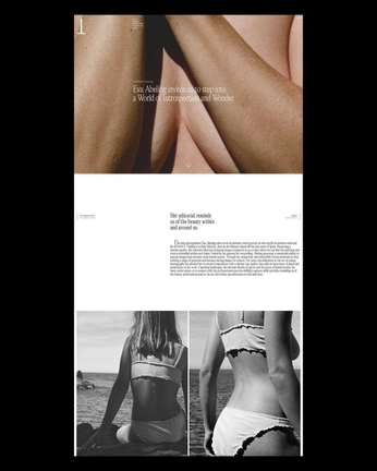 A cover of "Website" cluster. The owner is kasyaafed. The cluster consists of 62 elements.