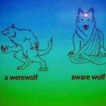 A cover of "quotes/characterarcs" cluster. The owner is coolsnail. The cluster consists of 1344 elements.