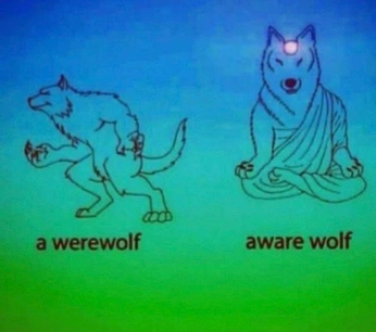 A cover of "silly meta canon" cluster. The owner is mhrdini. The cluster consists of 1 element.