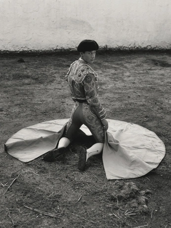 A cover of "MATADOR" cluster. The owner is johnafanode. The cluster consists of 6 elements.