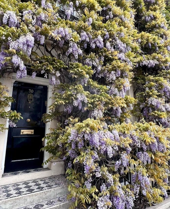 A cover of "Light" cluster. The owner is humanitorian. The cluster consists of 5 elements.