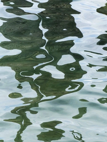 A cover of "Water" cluster. The owner is cb.93. The cluster consists of 1 element.