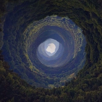 A cover of "In Wonderland" cluster. The owner is nostalgelle. The cluster description is "A little bit of whimsy never hurts anyone". The cluster consists of 31 elements.