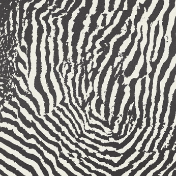 A cover of "Pattern" cluster. The owner is mikaylaj. The cluster consists of 1 element.