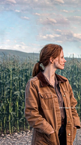 A cover of "Wp" cluster. The owner is lily911.2007. The cluster consists of 2 elements.