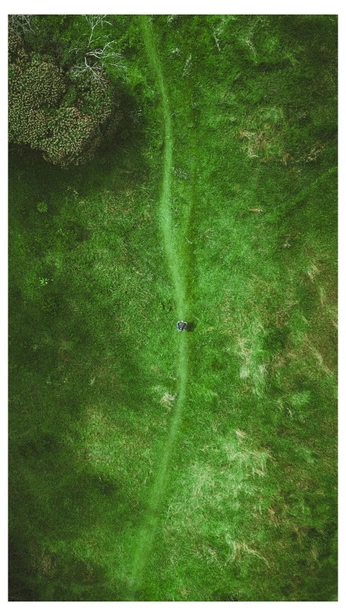 A cover of "IG" cluster. The owner is inki.music. The cluster consists of 1 element.