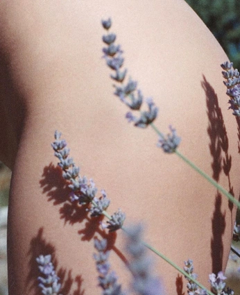 A cover of "𓆱 Town w strange happen" cluster. The owner is sleepinondreams. The cluster consists of 8 elements.