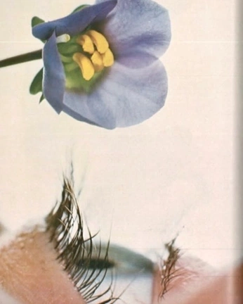 A cover of "cosmos" cluster. The owner is chloerahall. The cluster consists of 10 elements.