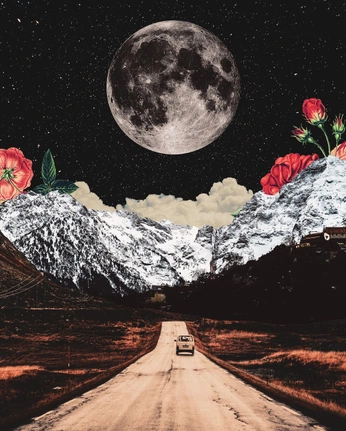 A cover of "collage" cluster. The owner is genixggwp. The cluster consists of 23 elements.