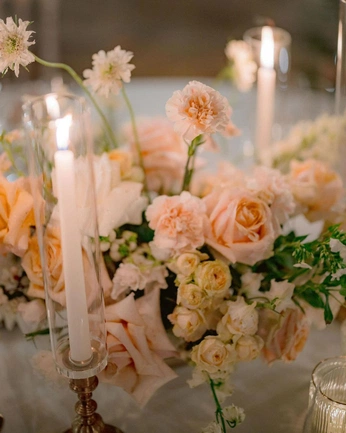 A cover of "Mariage" cluster. The owner is looooooooooo. The cluster consists of 8 elements.