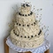 Cover of Cake cluster